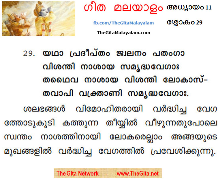 TheGitaMalayalam_11_29